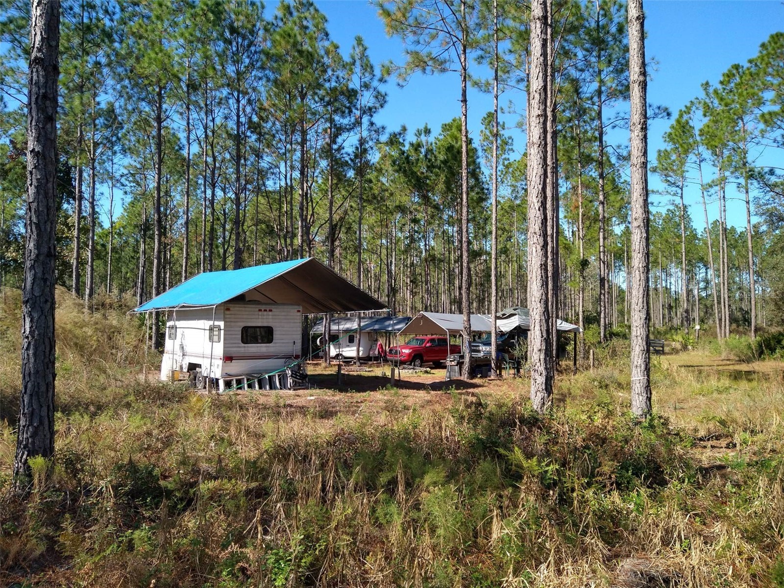 Clyatt Road Chiefland FL 32626 TB8468369 image9