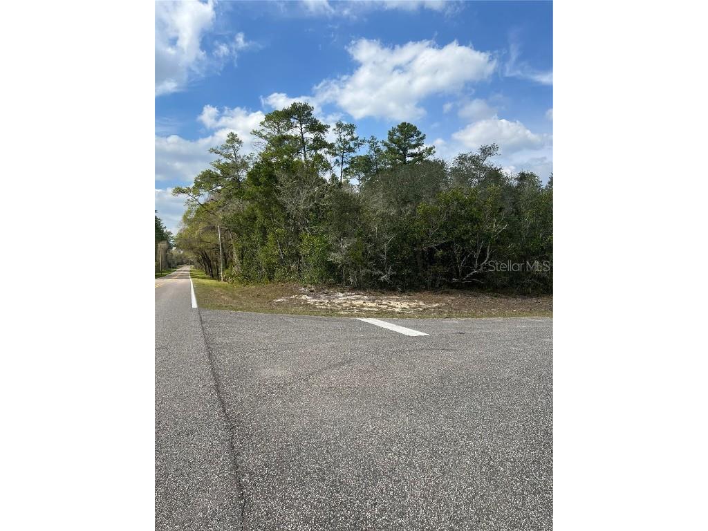 Clyde Street Webster FL 33597 G5065585 image1