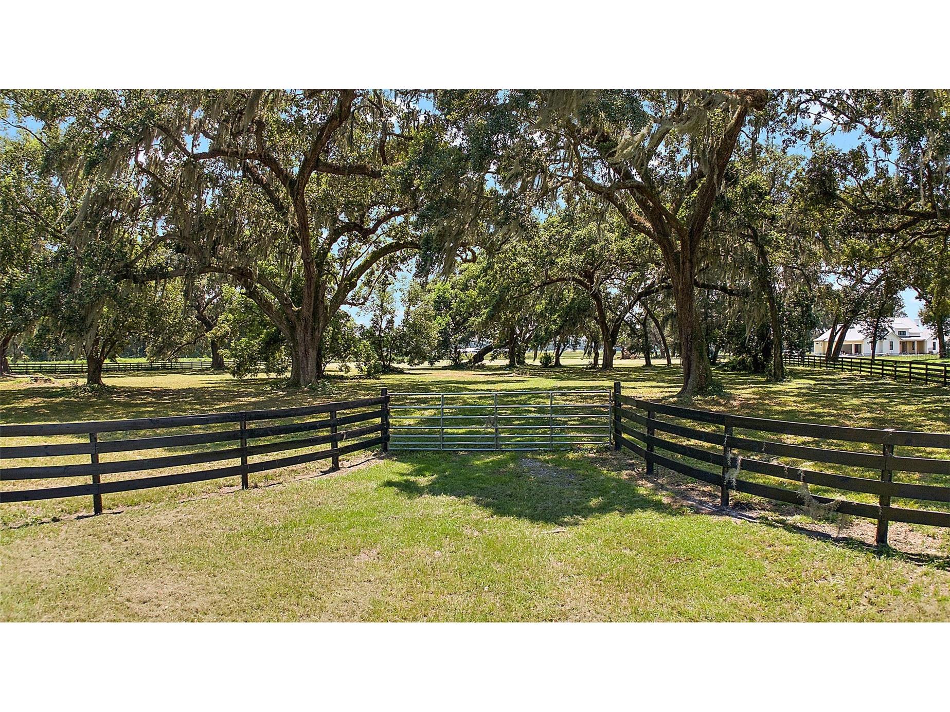 Co Rd 204 Oxford FL 34484 G5103540 image1