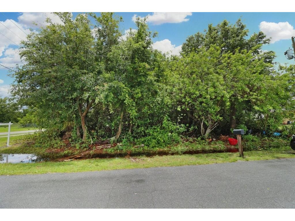 Cobalt Drive Kissimmee FL 34758 T3447899 image1