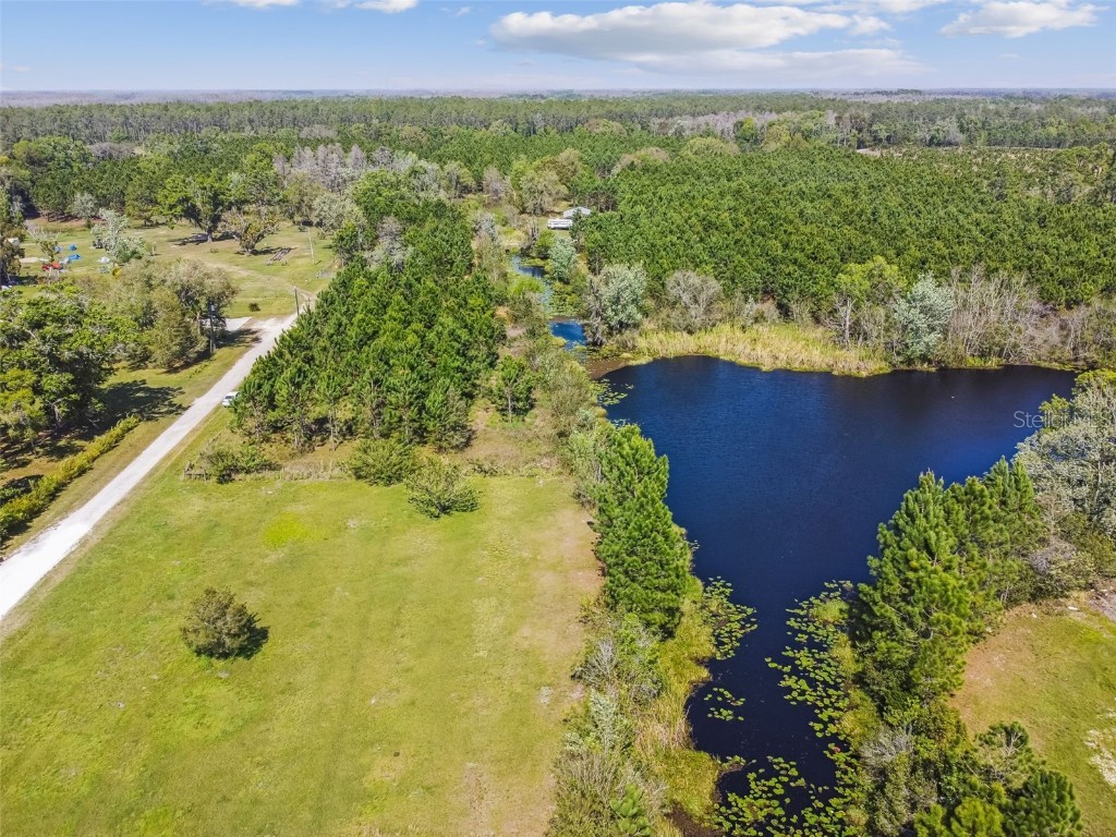 Cobb Rd Land O Lakes FL 34638 T3431911 image1