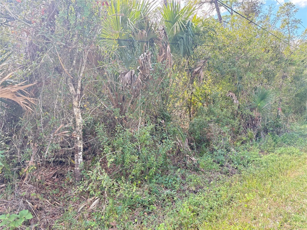 Cobbler Lane North Port FL 34286 A4670740 image2
