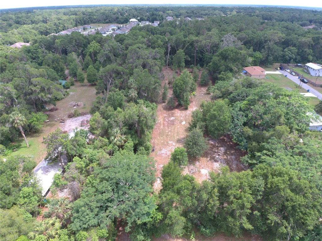 Coberly Drive Deland FL 32720 O6312050 image10