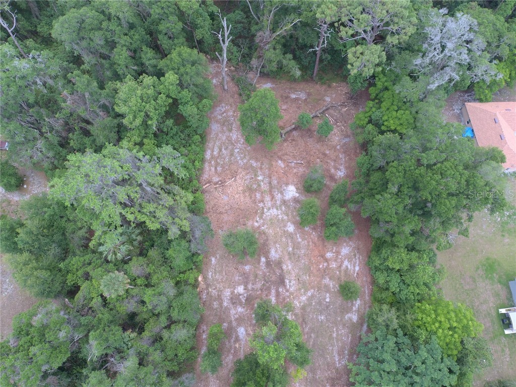 Coberly Drive Deland FL 32720 O6312050 image2