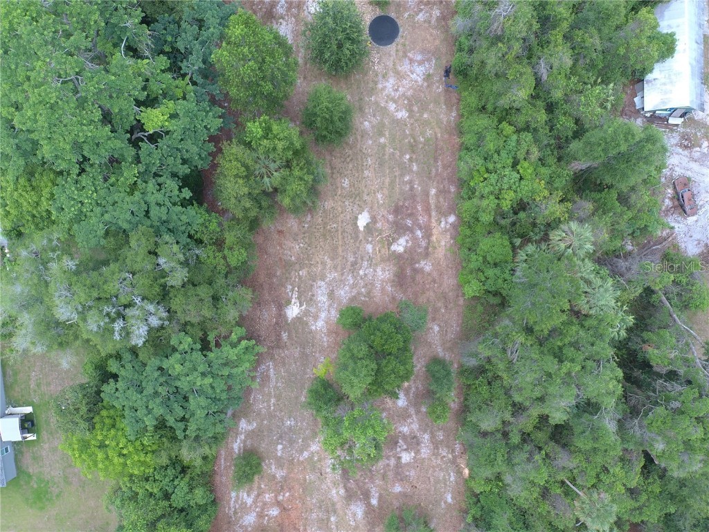 Coberly Drive Deland FL 32720 O6312050 image4