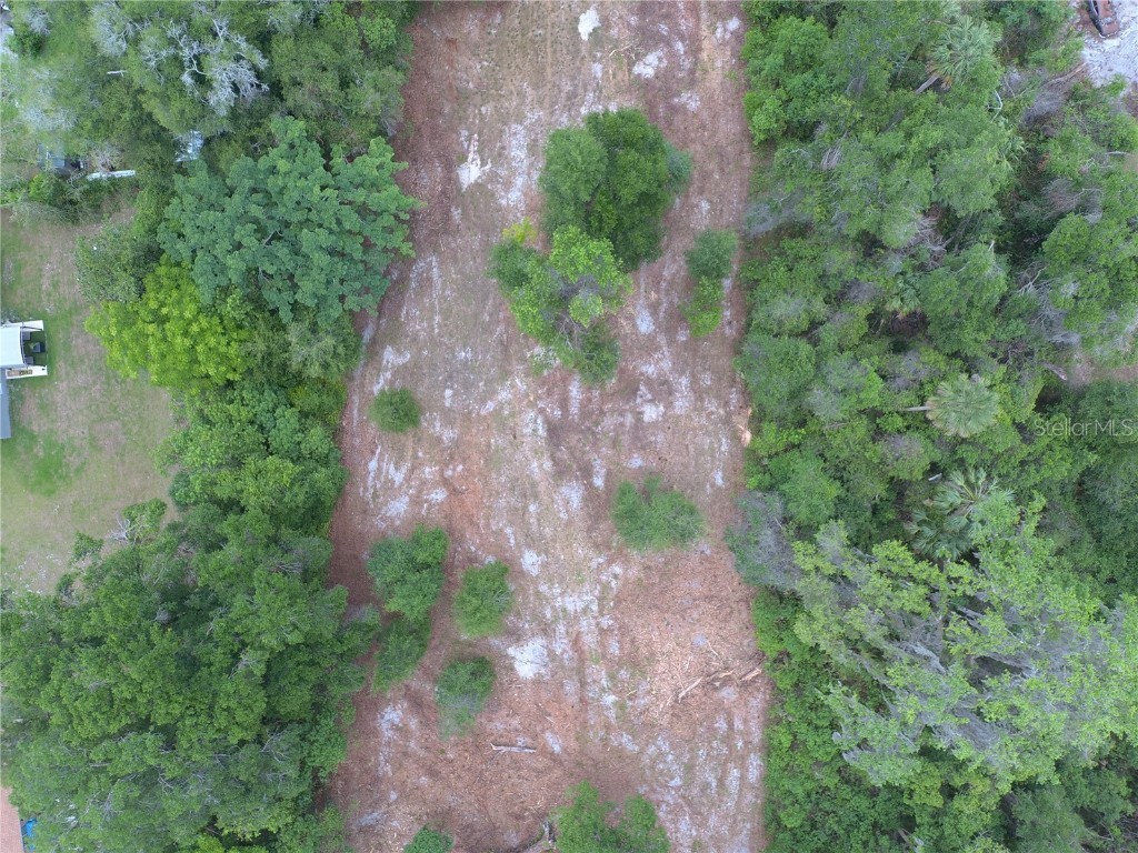 Coberly Drive Deland FL 32720 O6312050 image5