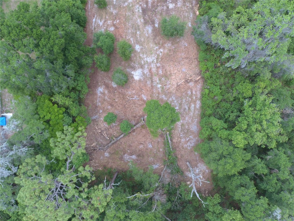 Coberly Drive Deland FL 32720 O6312050 image6