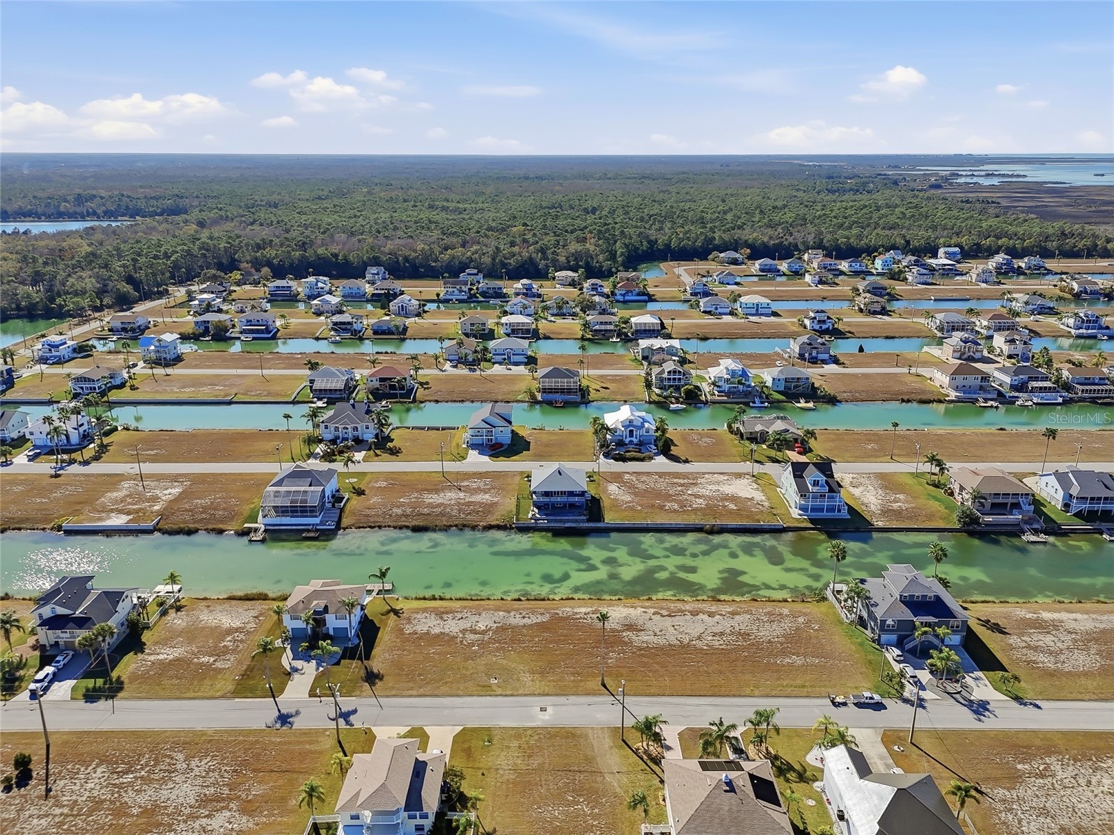Cobia Drive Hernando Beach FL 34607 W7882633 image4