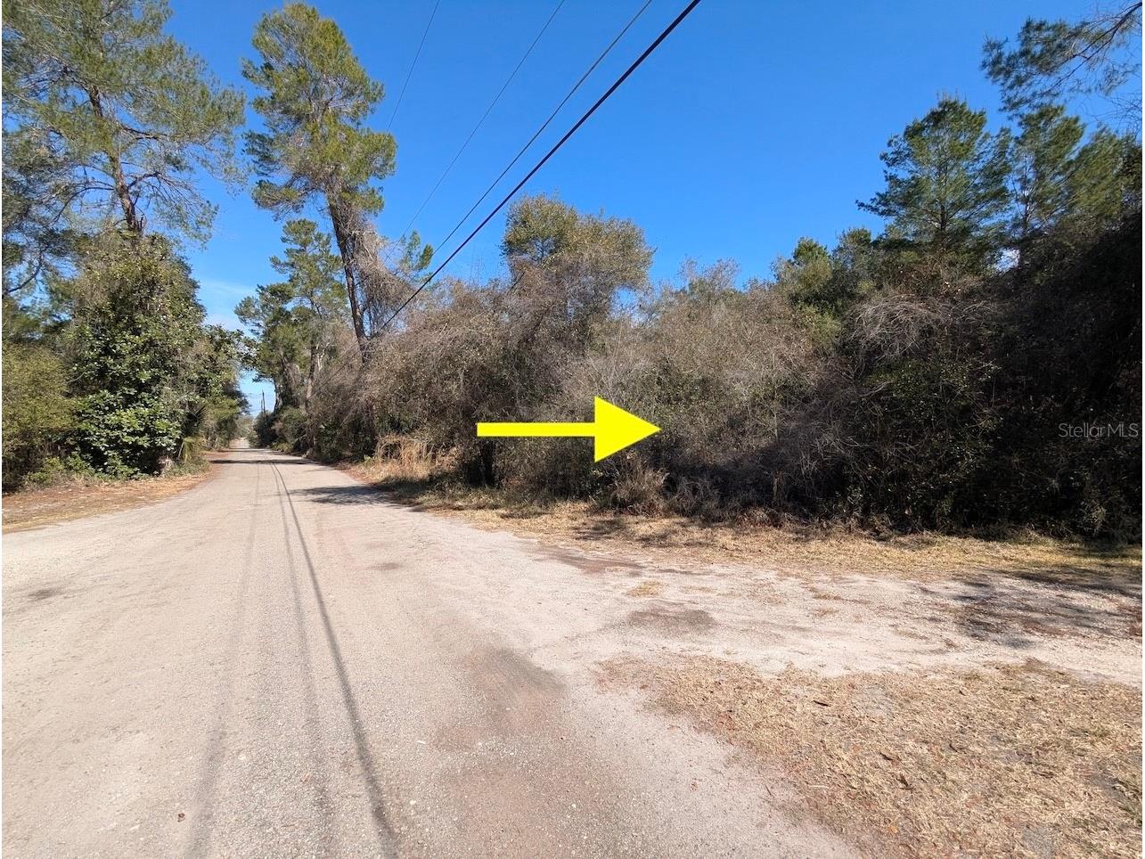 Cochran Road Geneva FL 32732 O6384219 image12