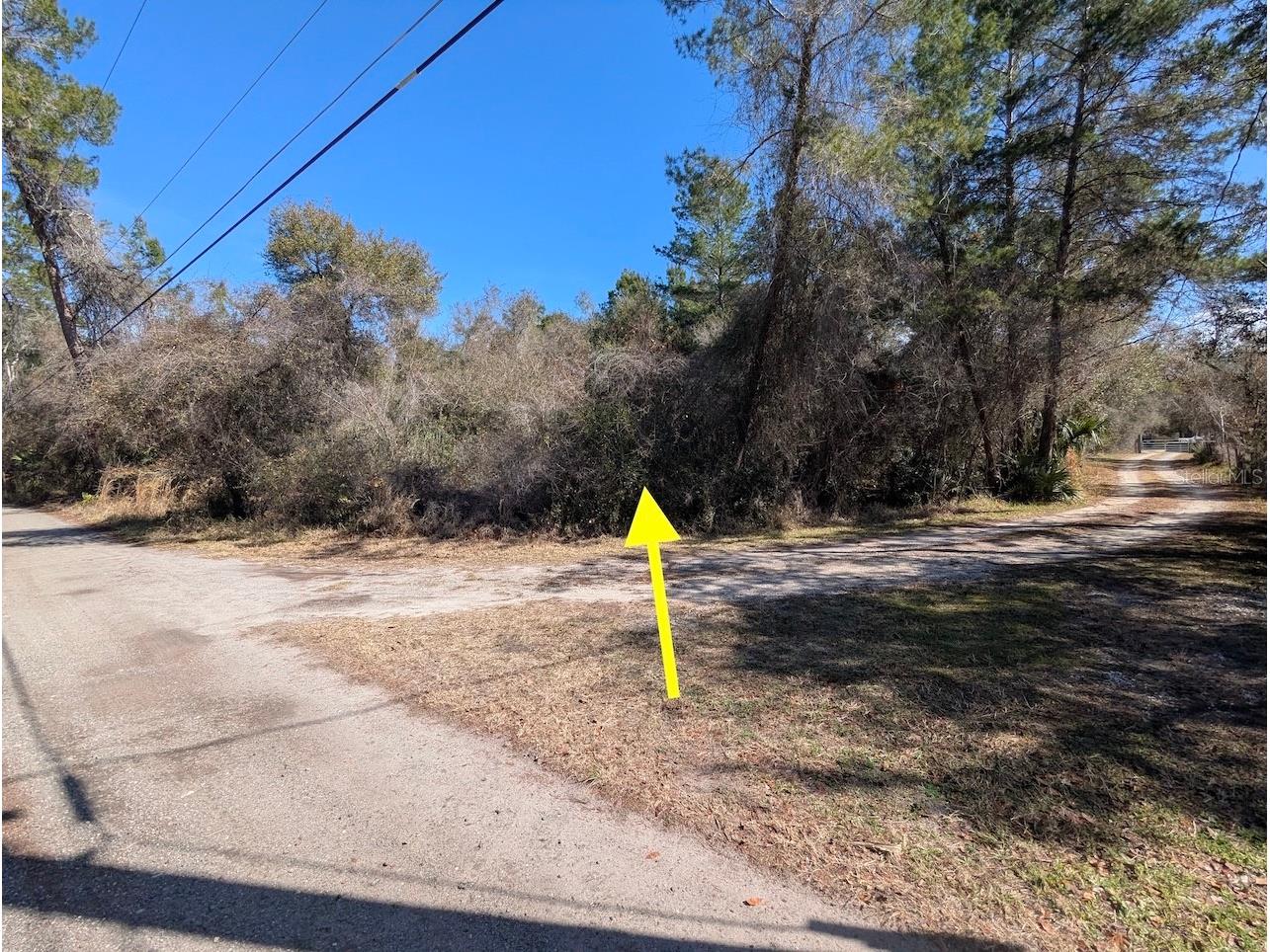 Cochran Road Geneva FL 32732 O6384219 image19
