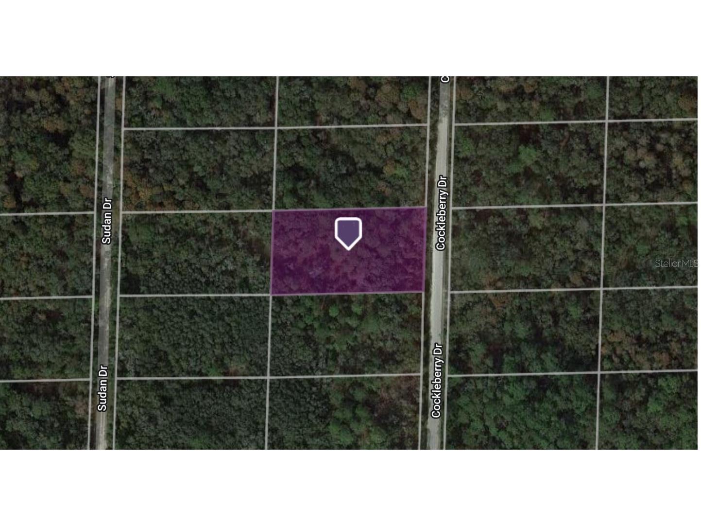 Cockleberry Drive Webster FL 33597 C7474654 image1