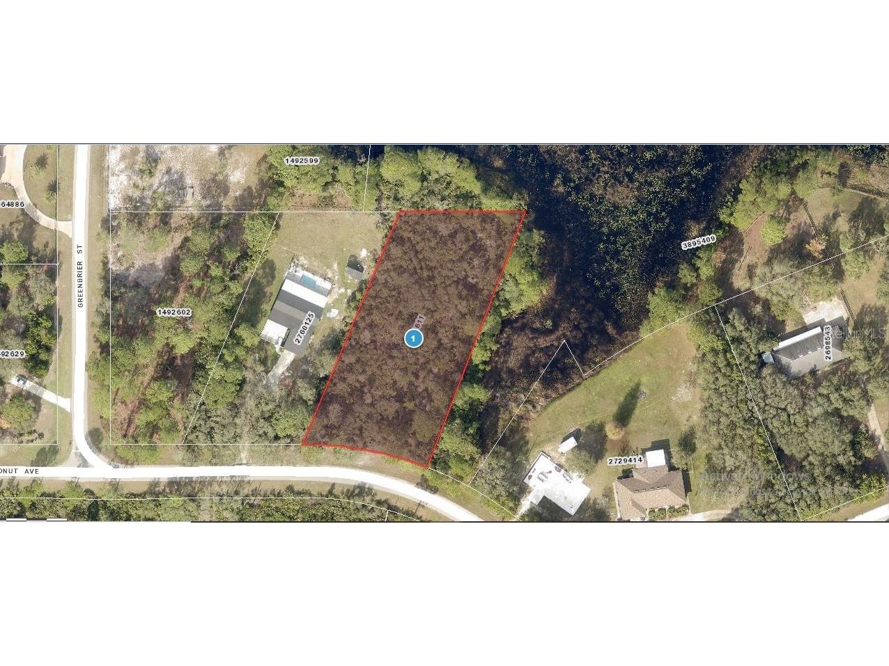 Coconut Avenue Eustis FL 32736 C7507977 image1