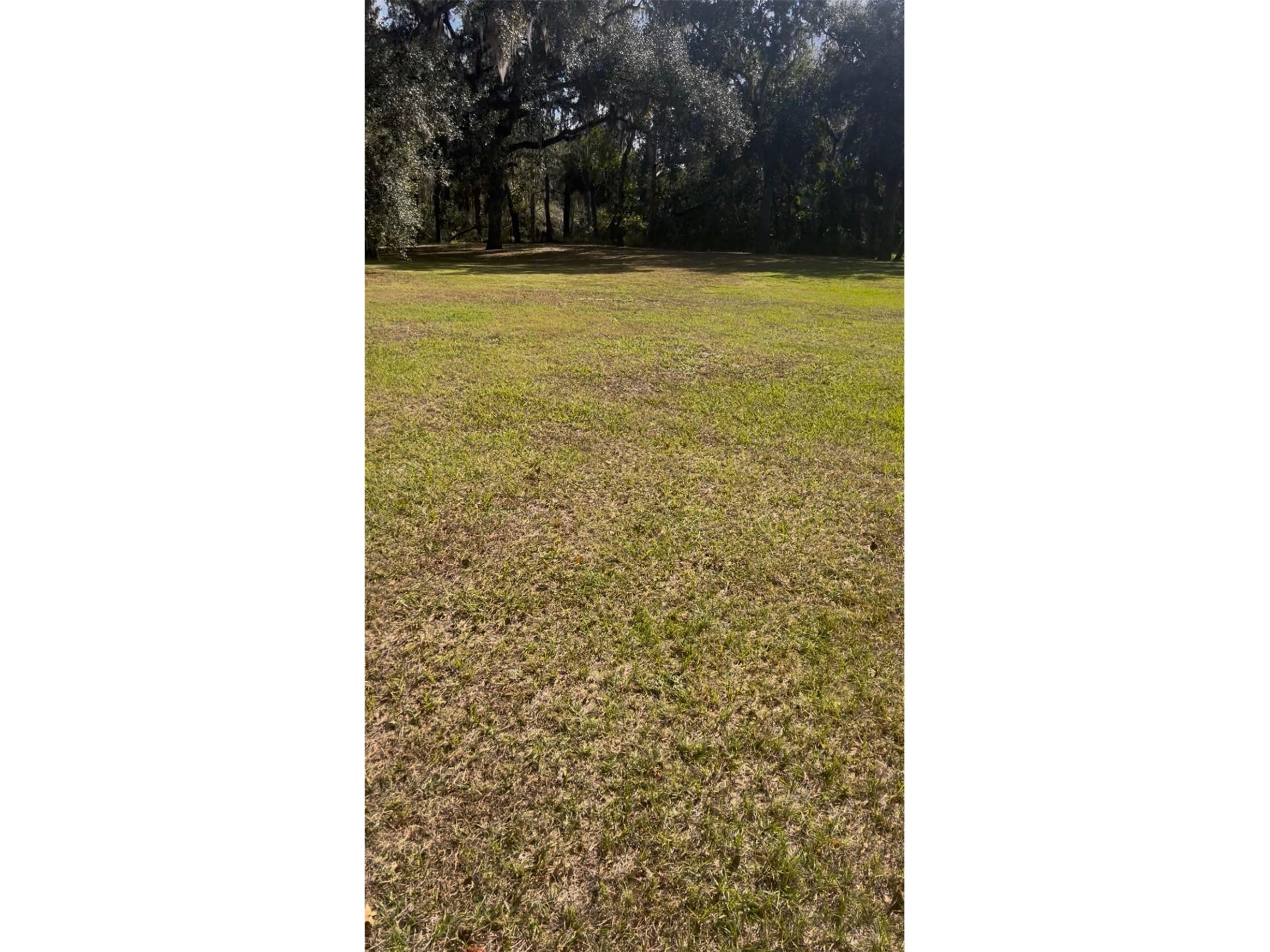 Coconut Cove Pl Valrico FL 33596 - ALAFIA RIVER TB8508867 image1
