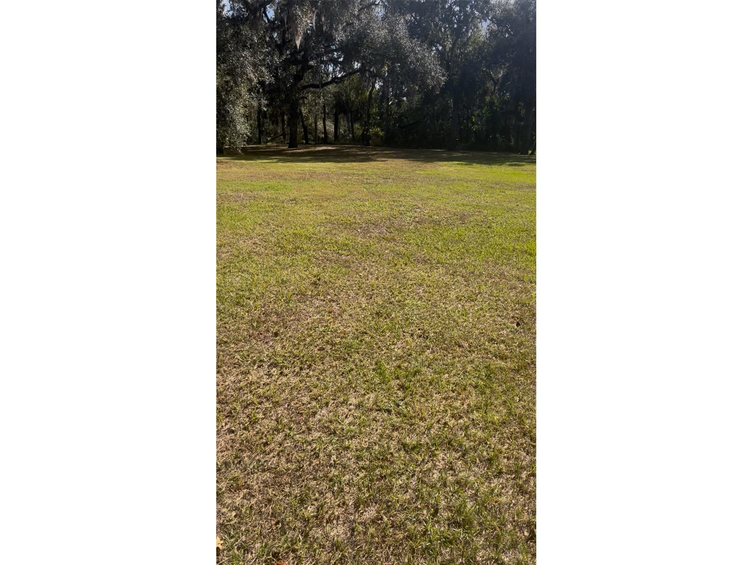 Coconut Cove Pl Valrico FL 33596 - ALAFIA RIVER TB8508867 image2