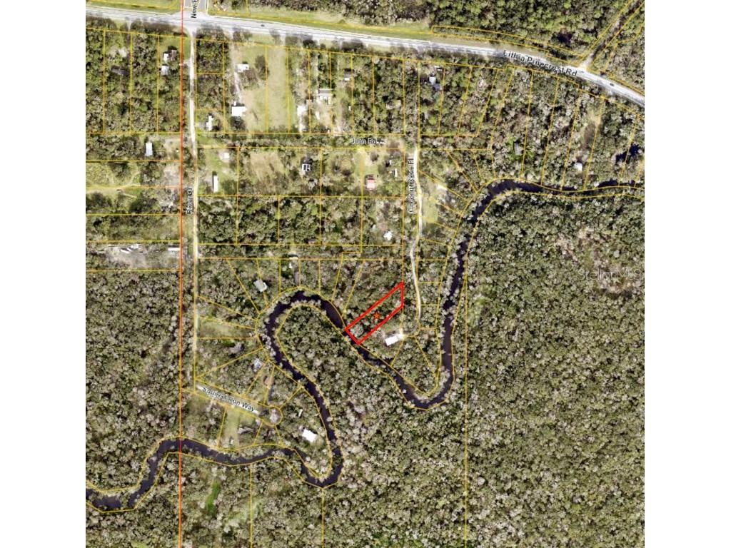 Coconut Cove Valrico FL 33596 - ALAFIA TB8379069 image1