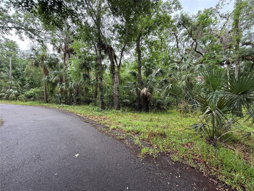 Coconut Cove Valrico FL 33596 - ALAFIA TB8379069 image2