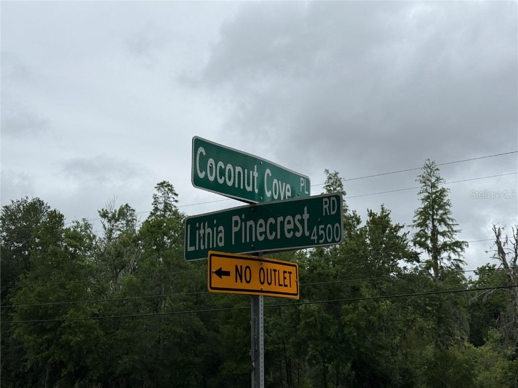 Coconut Cove Valrico FL 33596 - ALAFIA TB8379069 image4