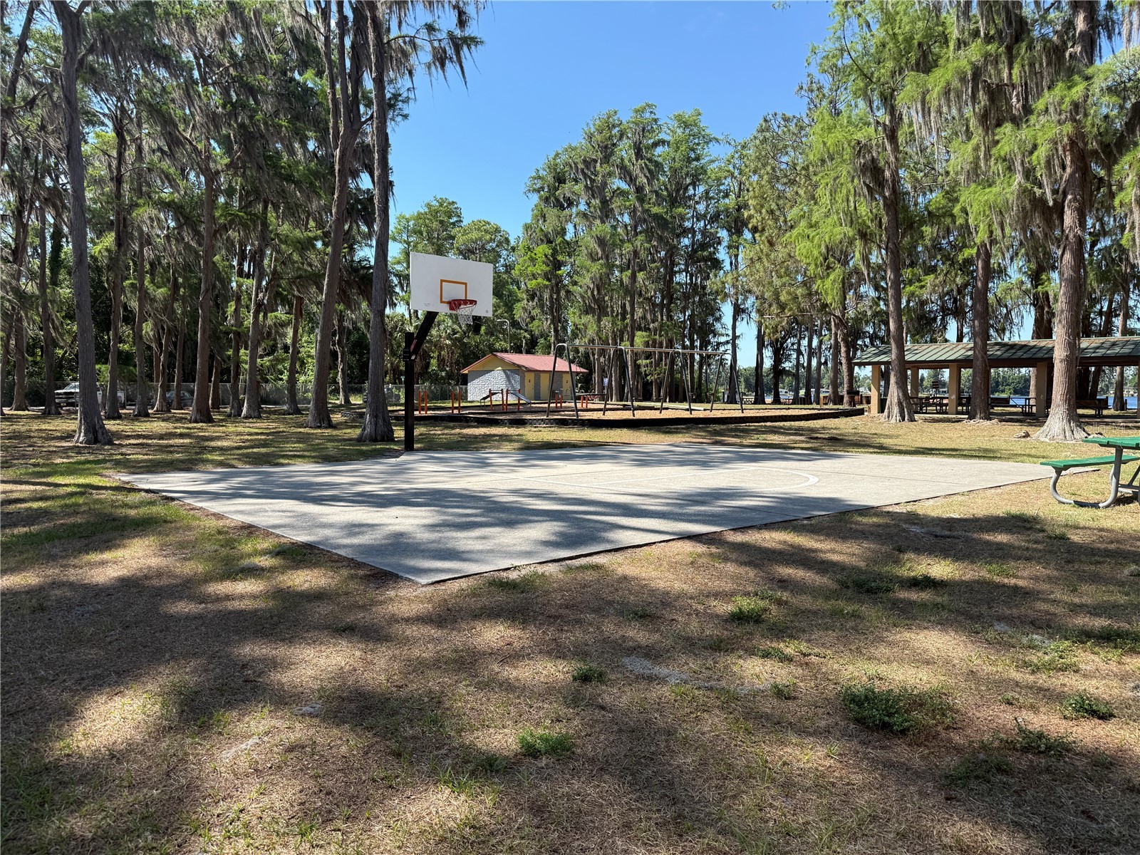 Codel Loop New Port Richey FL 34654 TB8514003 image5