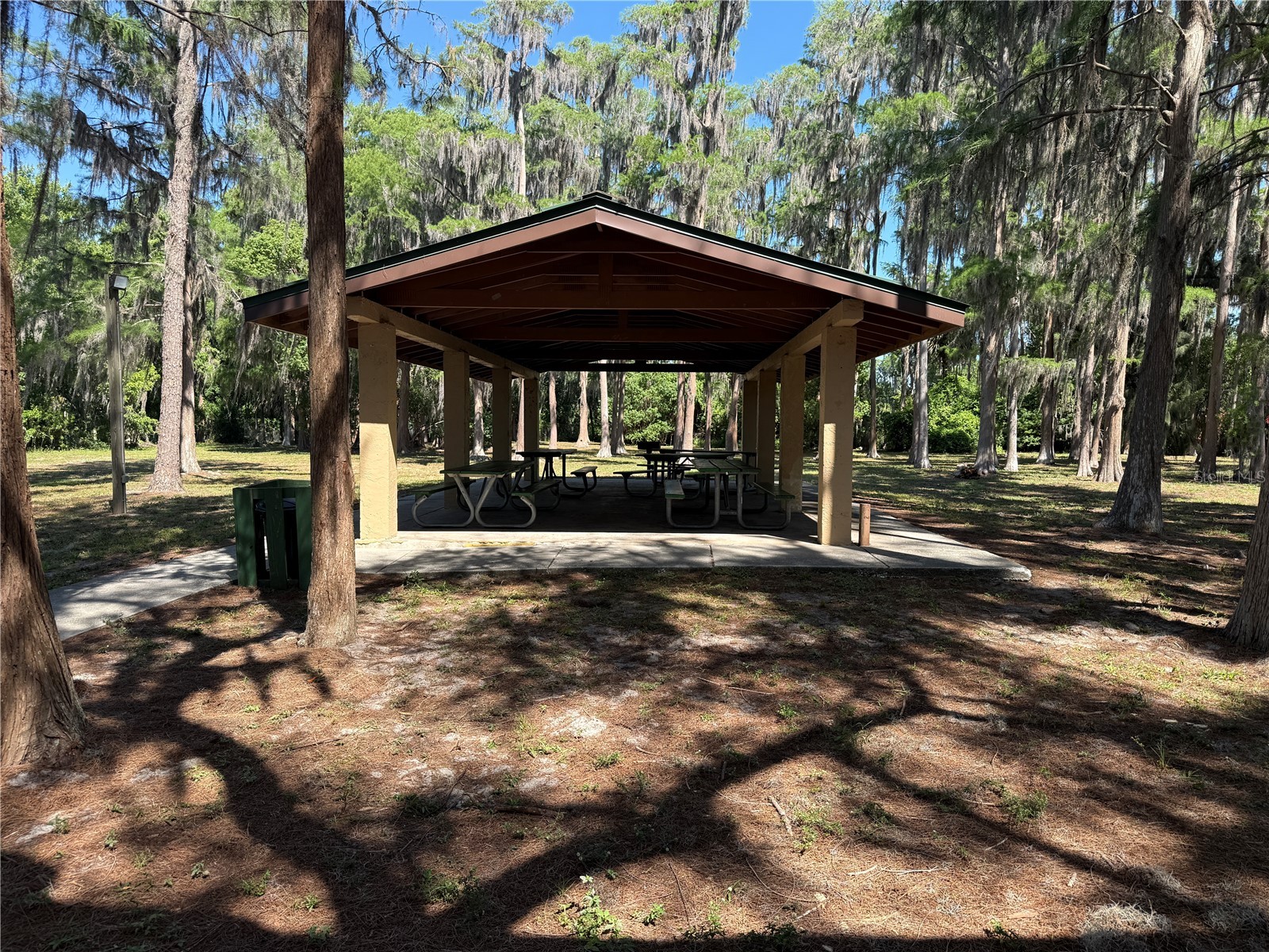 Codel Loop New Port Richey FL 34654 TB8514003 image8