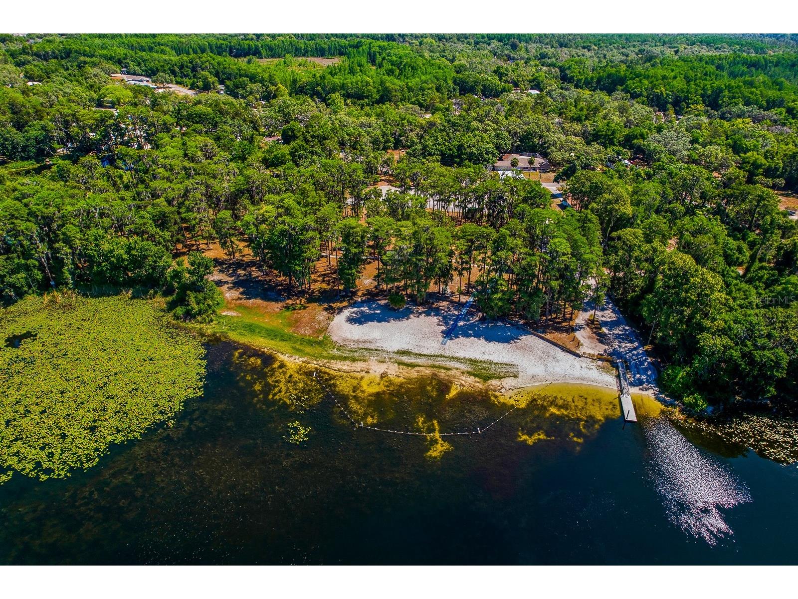 Codel Loop New Port Richey FL 34654 TB8514003 image9