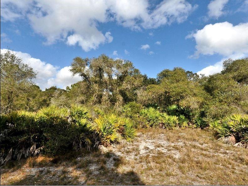 Cody Circle North Port FL 34291 O6197535 image2