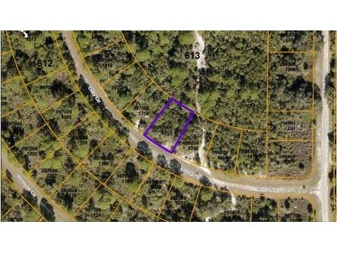 Cody Circle North Port FL 34291 O6197535 image3