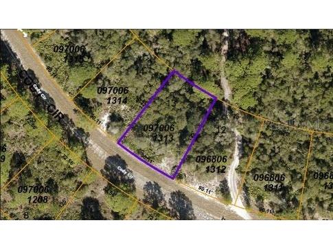 Cody Circle North Port FL 34291 O6197535 image4