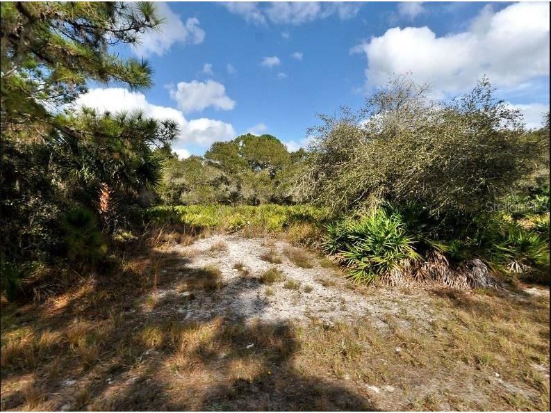 Cody Circle North Port FL 34291 O6197541 image2