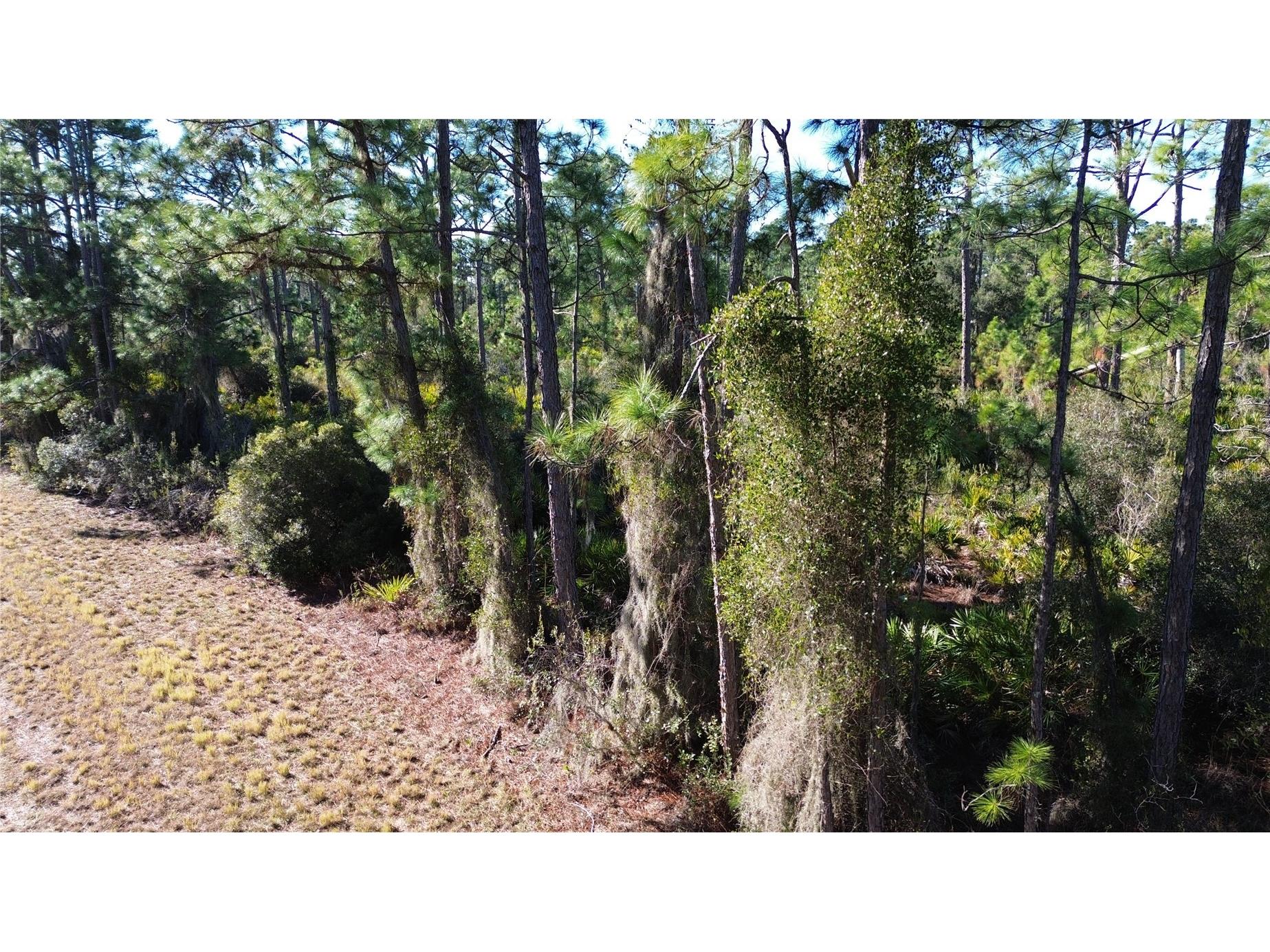 Cody Circle North Port FL 34291 TB8486597 image10