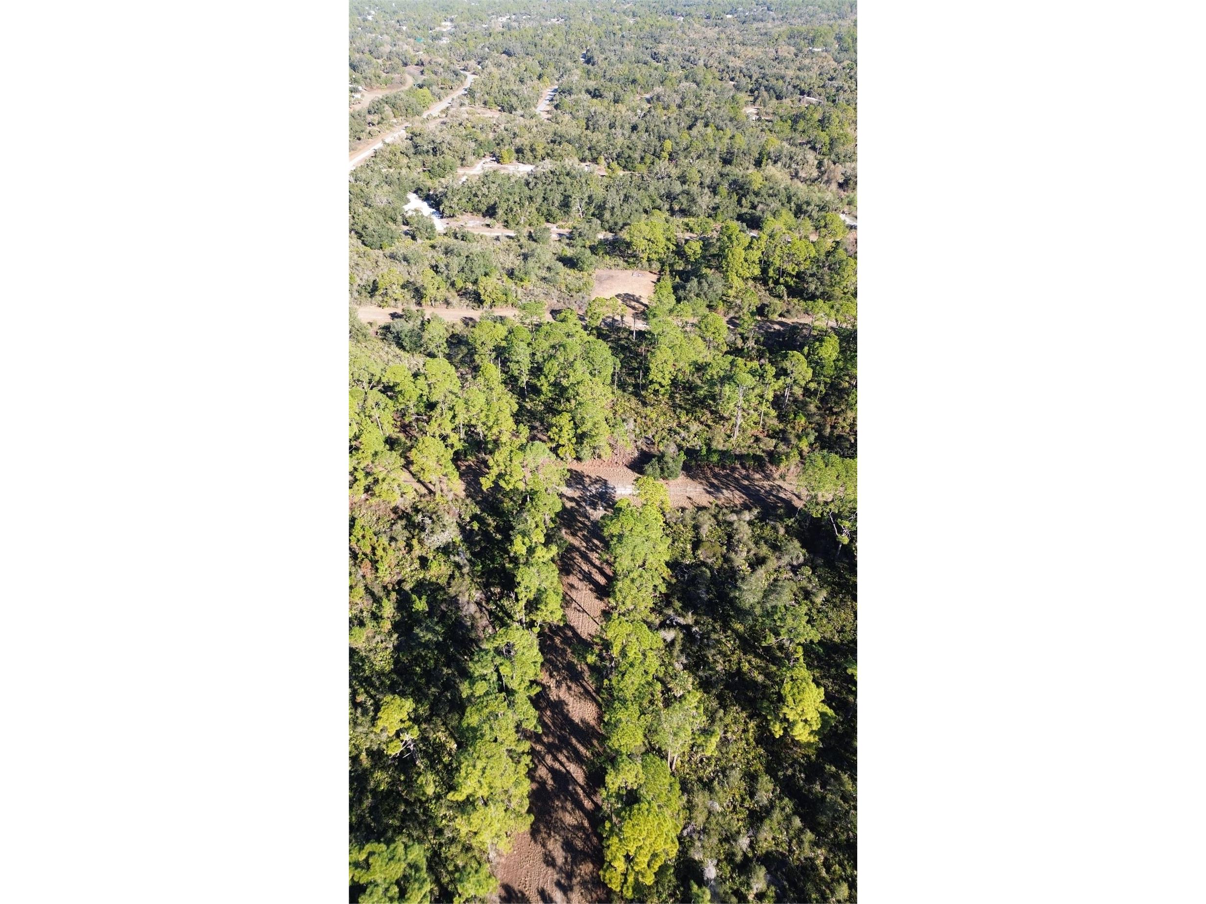 Cody Circle North Port FL 34291 TB8486597 image14