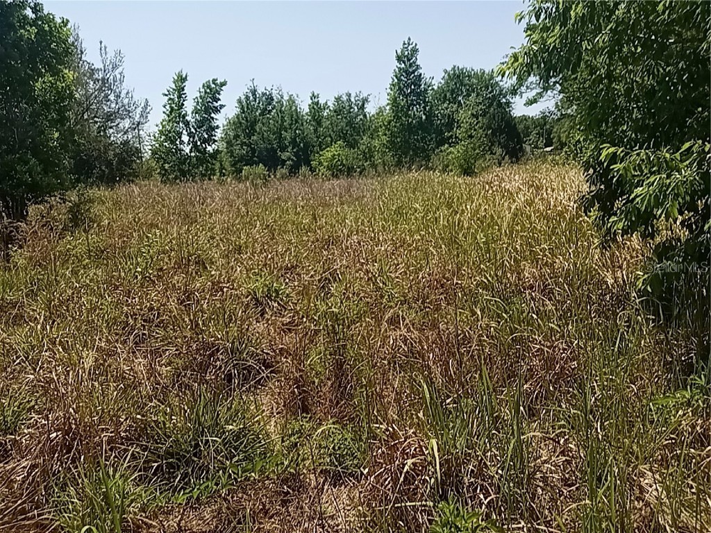 Coffee Creek Lane Clermont FL 34711 G5095532 image10