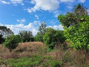 Coffee Creek Lane Clermont FL 34711 G5095532 image11