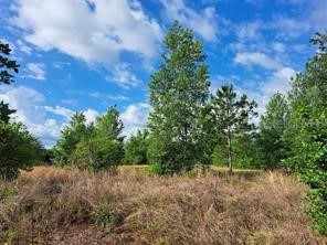 Coffee Creek Lane Clermont FL 34711 G5095532 image12