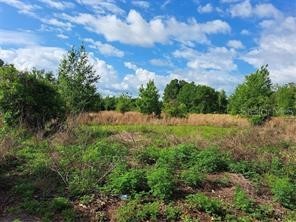 Coffee Creek Lane Clermont FL 34711 G5095532 image16