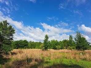 Coffee Creek Lane Clermont FL 34711 G5095532 image17