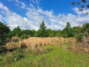 Coffee Creek Lane Clermont FL 34711 G5095532 image18