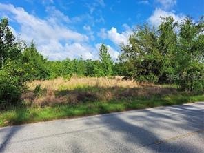 Coffee Creek Lane Clermont FL 34711 G5095532 image19