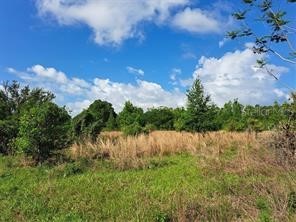 Coffee Creek Lane Clermont FL 34711 G5095532 image2