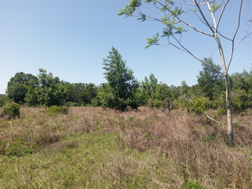 Coffee Creek Lane Clermont FL 34711 G5095532 image20