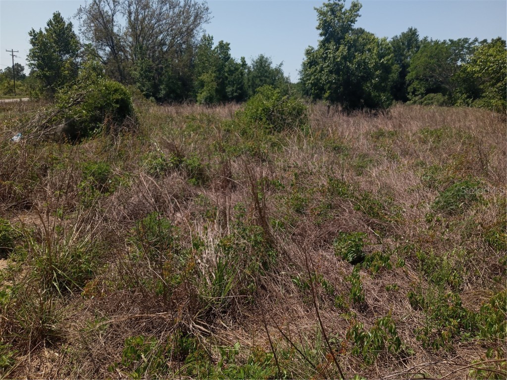 Coffee Creek Lane Clermont FL 34711 G5095532 image21