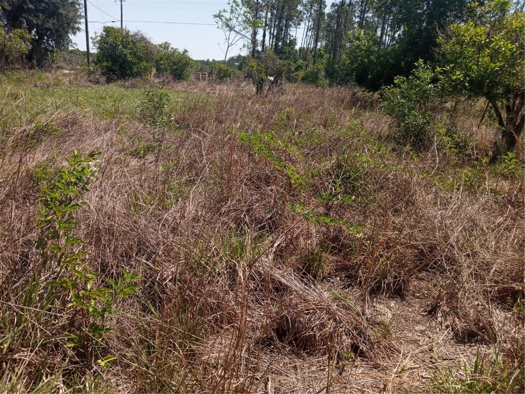 Coffee Creek Lane Clermont FL 34711 G5095532 image22