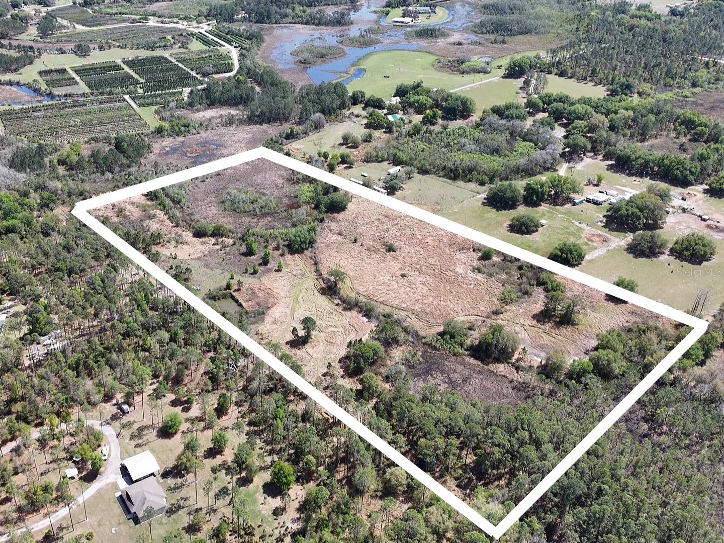 Coffee Creek Lane Groveland FL 34736 G5109943 image1