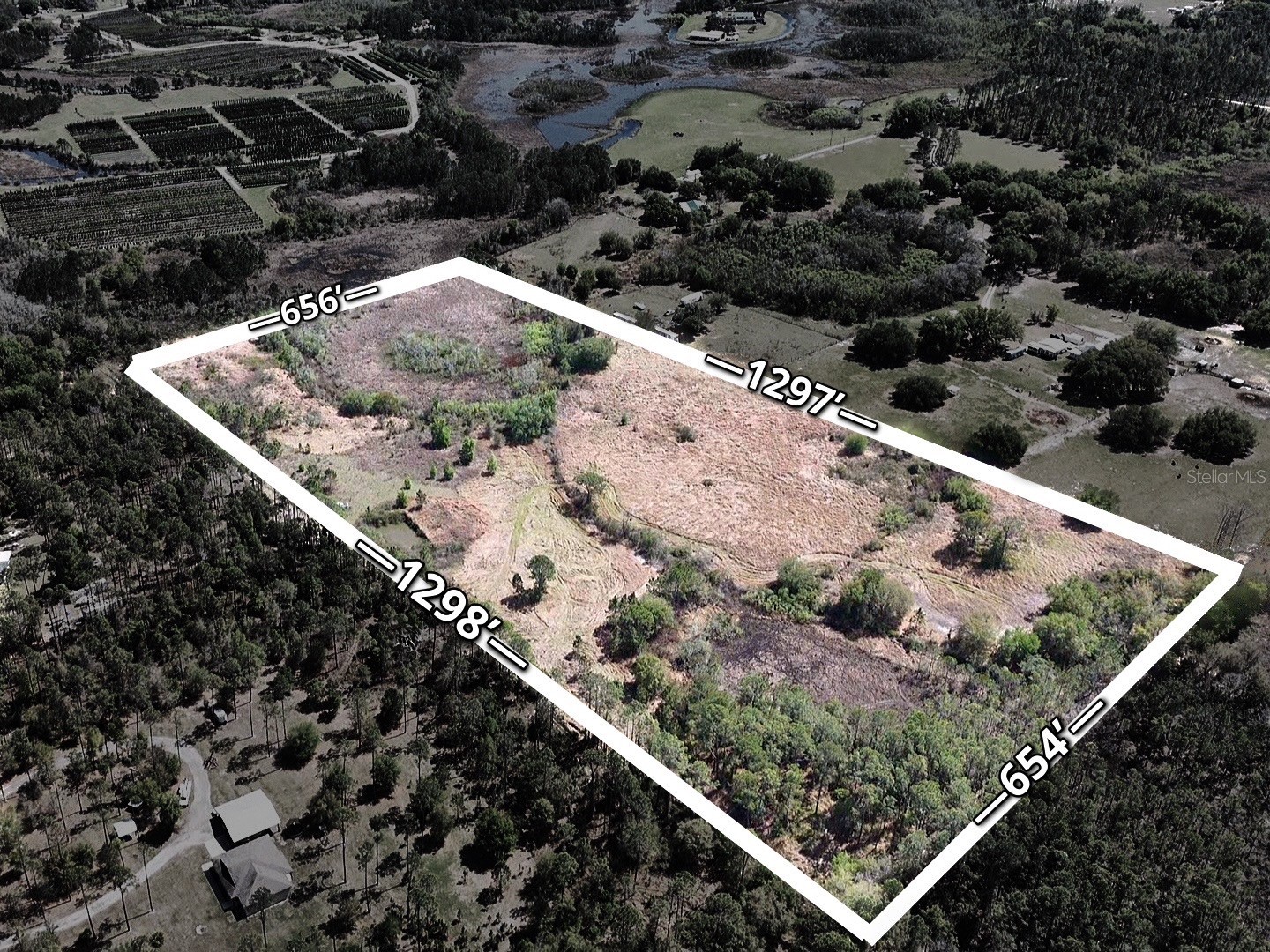 Coffee Creek Lane Groveland FL 34736 G5109943 image2