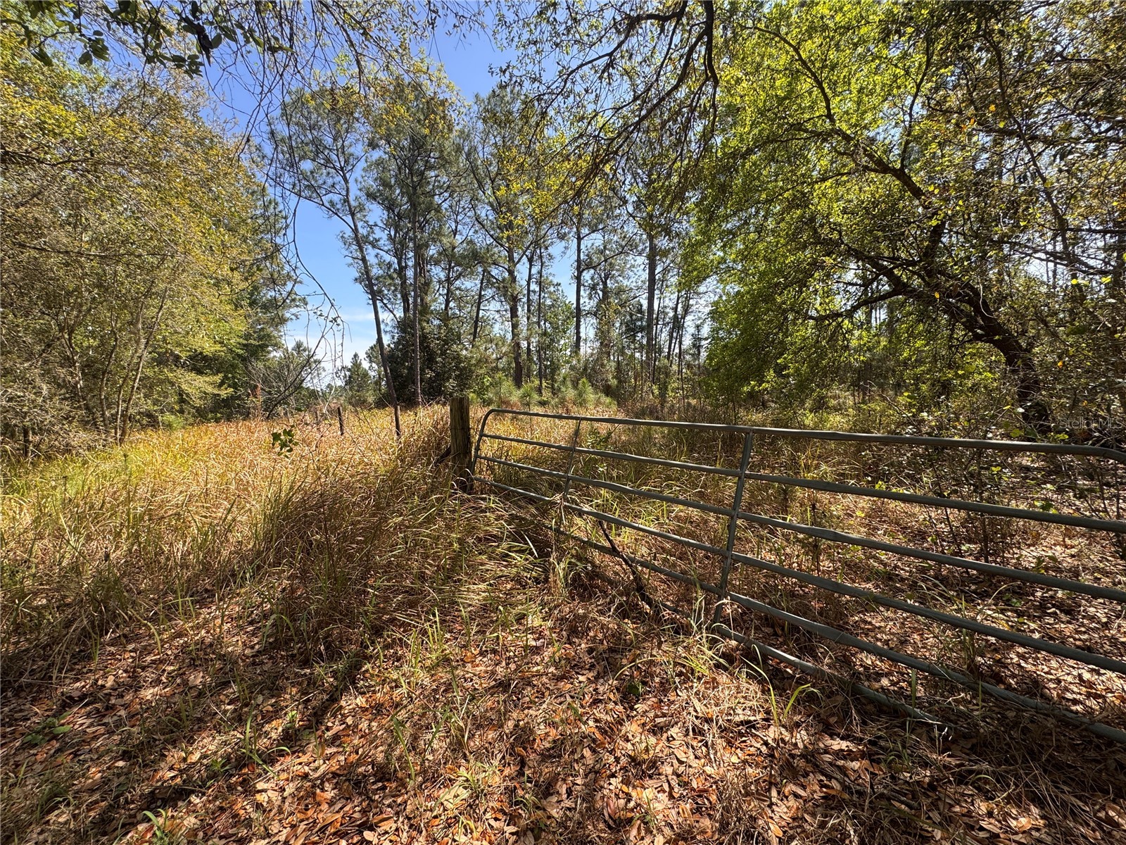 Coffee Creek Lane Groveland FL 34736 G5109943 image7