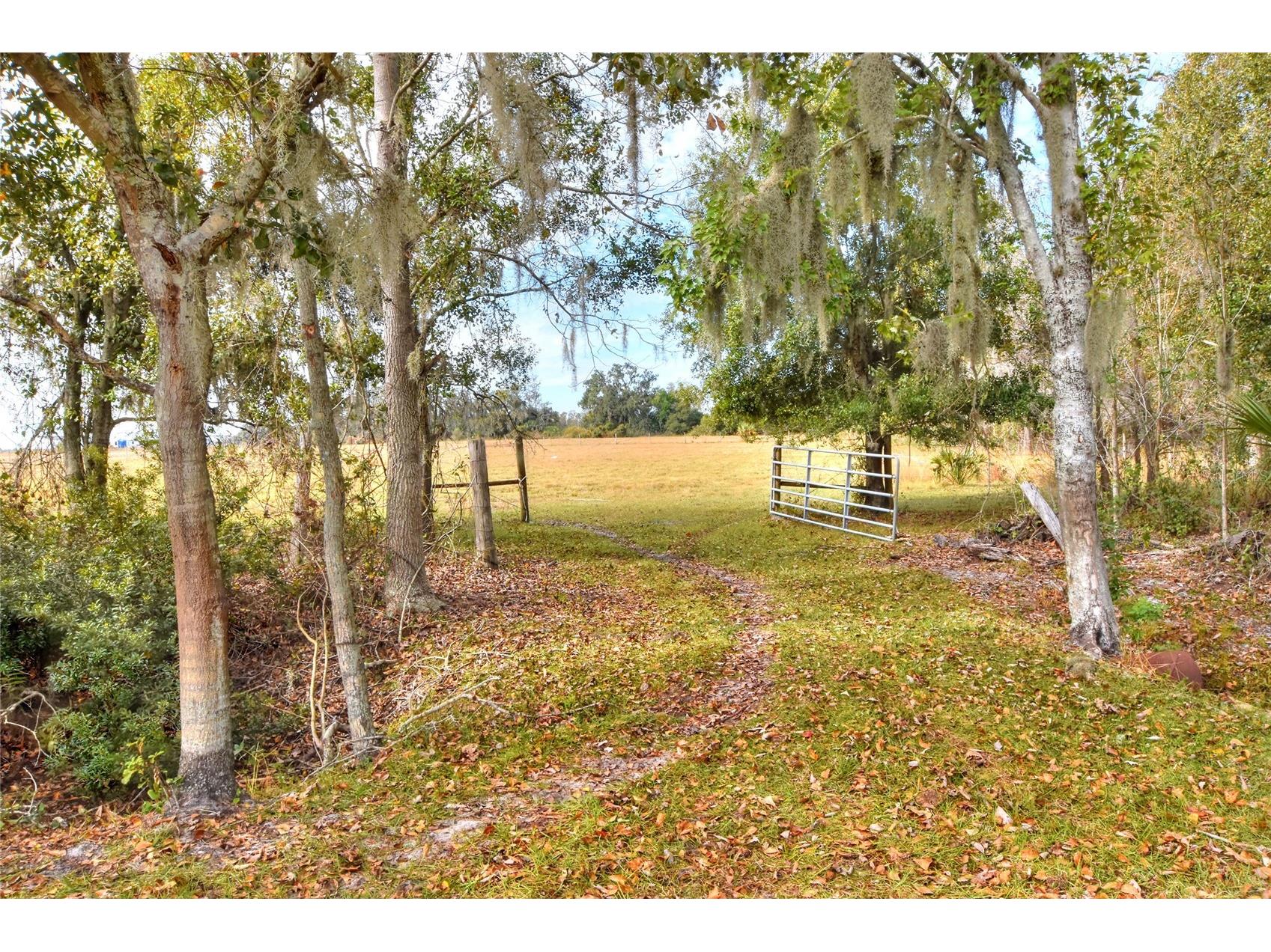 Colding Loop Wimauma FL 33598 TB8469561 image2