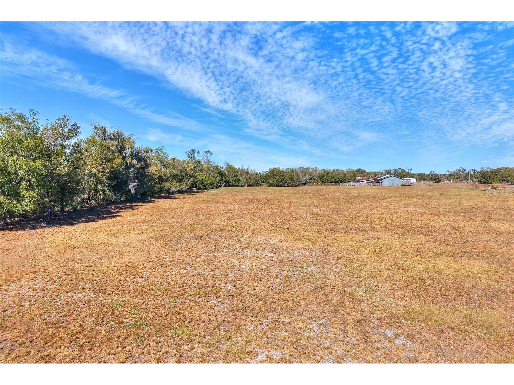 Colding Loop Wimauma FL 33598 TB8469561 image3