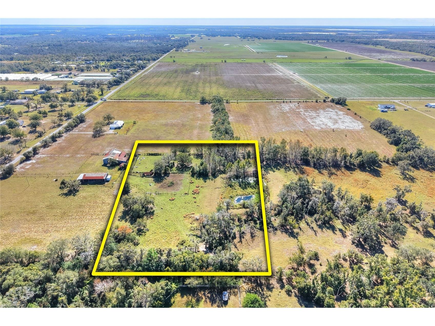 Colding Loop Wimauma FL 33598 TB8469567 image1