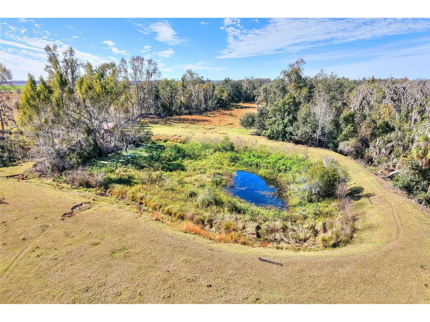 Colding Loop Wimauma FL 33598 TB8469567 image2