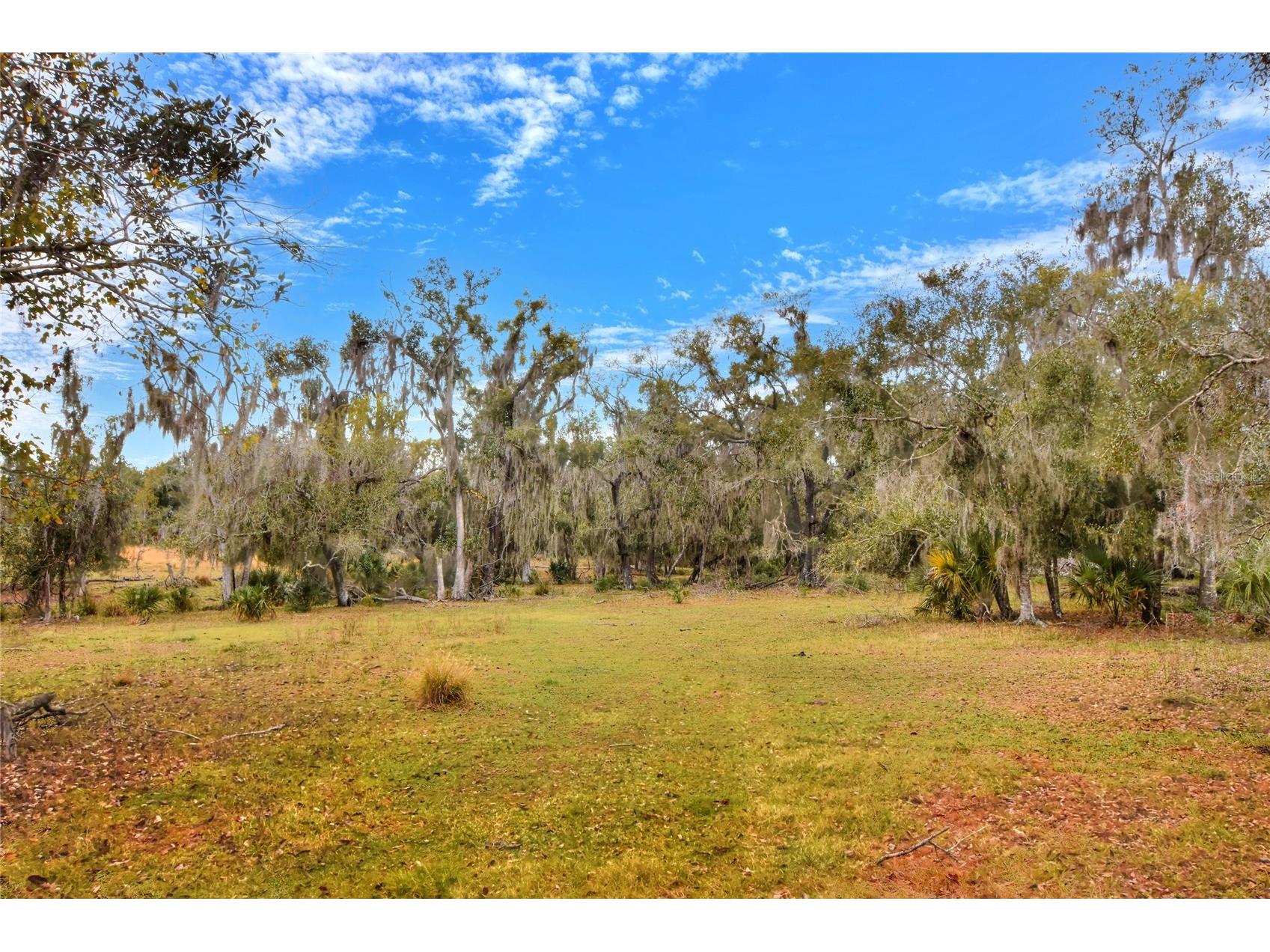 Colding Loop Wimauma FL 33598 TB8469567 image3