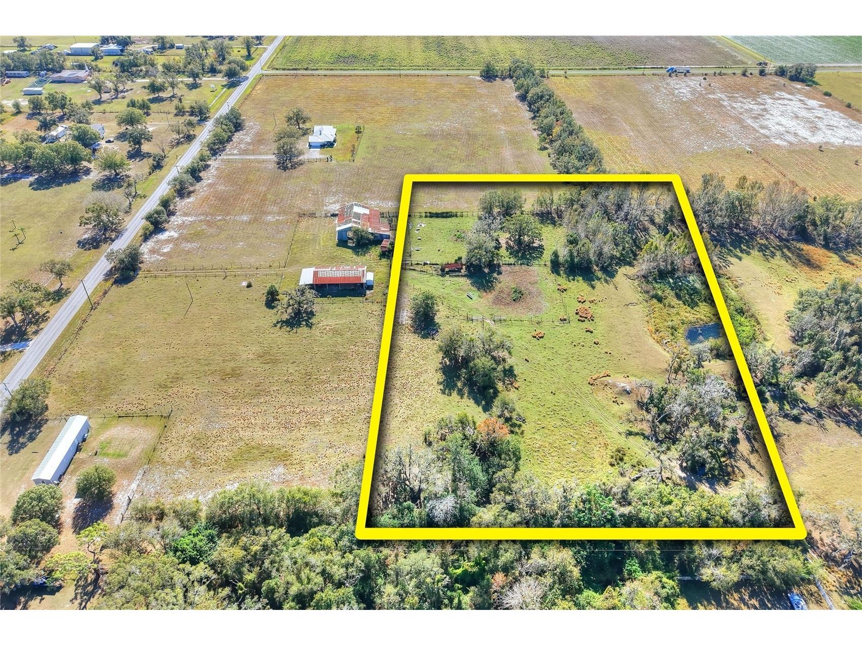 Colding Loop Wimauma FL 33598 TB8469567 image4